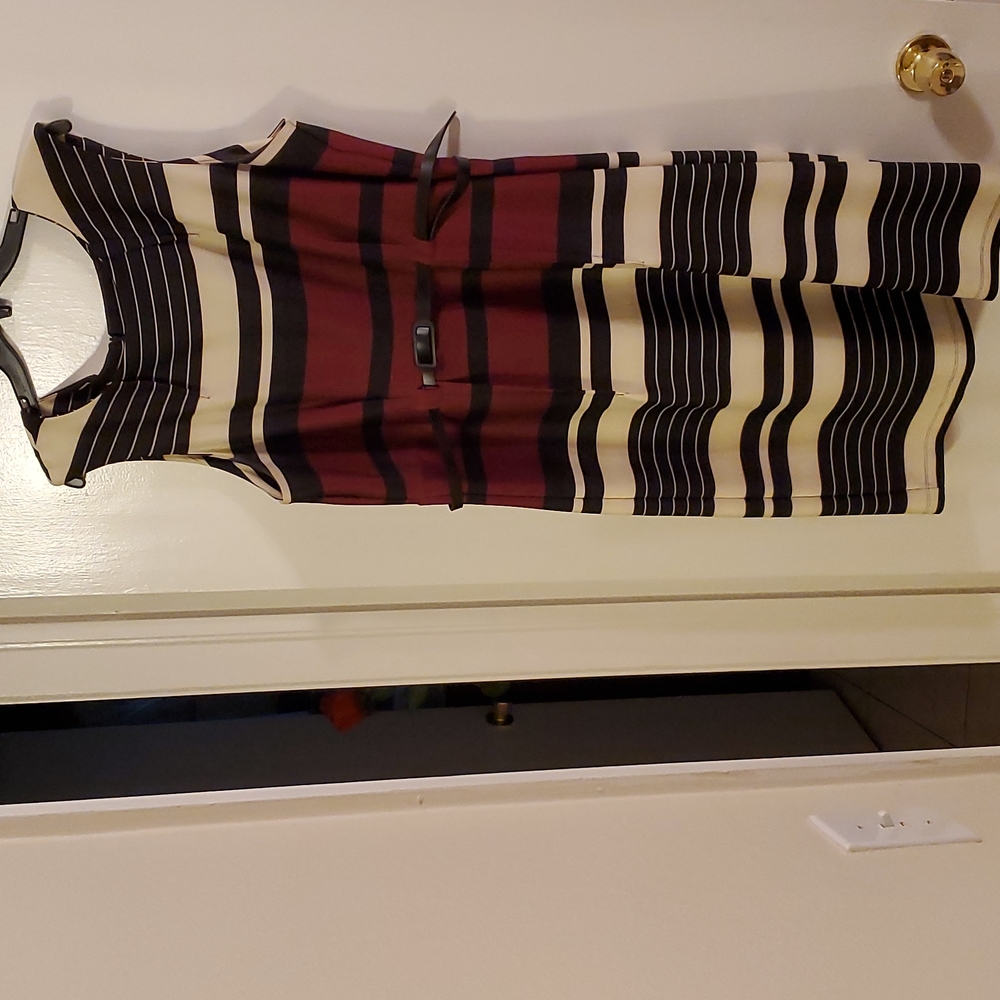 Shelby & Palmer 18W Maroon, Black and Tan Dress